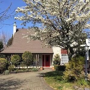 The Loft Guest house